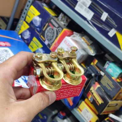 سر باطری برنجی ببری